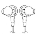Gemeenschapsmodel Bose